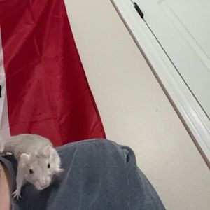 Meet your Posher, Chloe